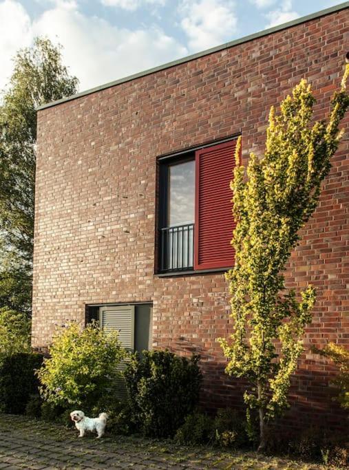 Schickes Wohnstudio Mit Garten Am Aasee Ibbenbüren Екстериор снимка